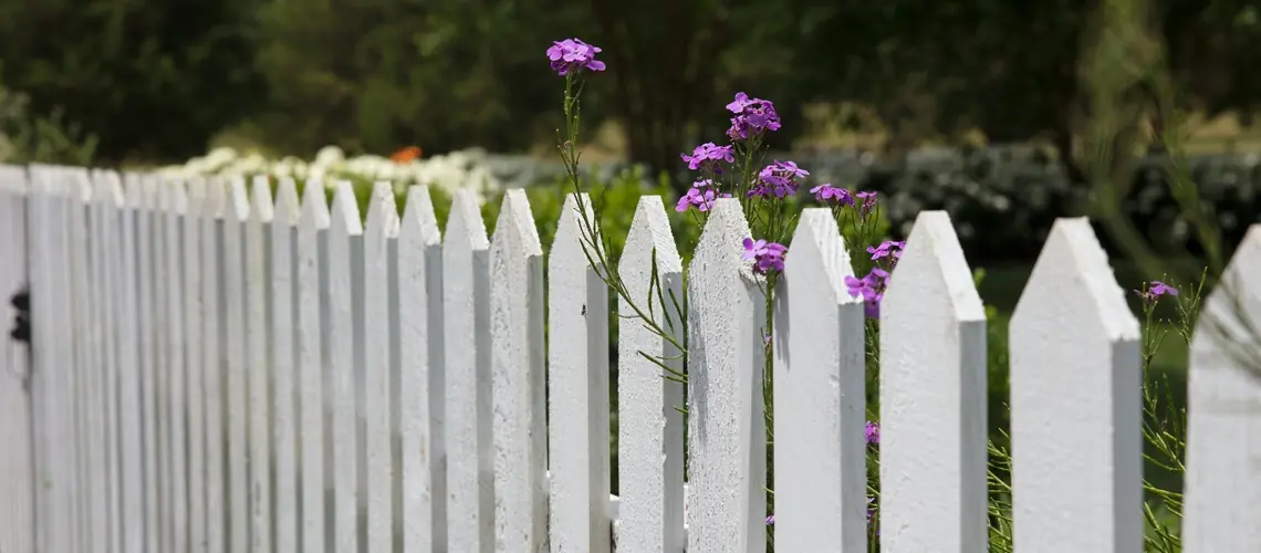 Long White Picket Fence